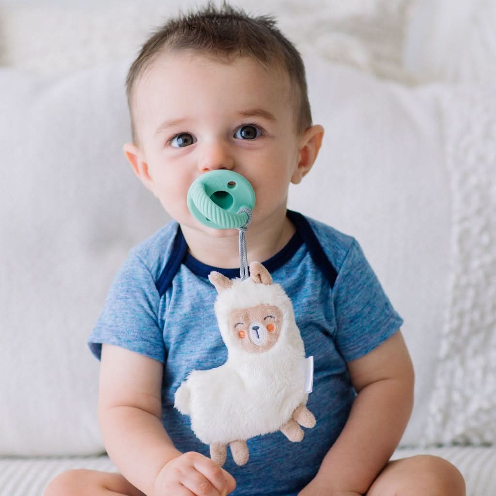 Itzy Paci PalTM – Pacifier & Stuffed Animal - Image 8
