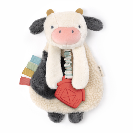 Itzy LoveyTM Plush and Teether Toy