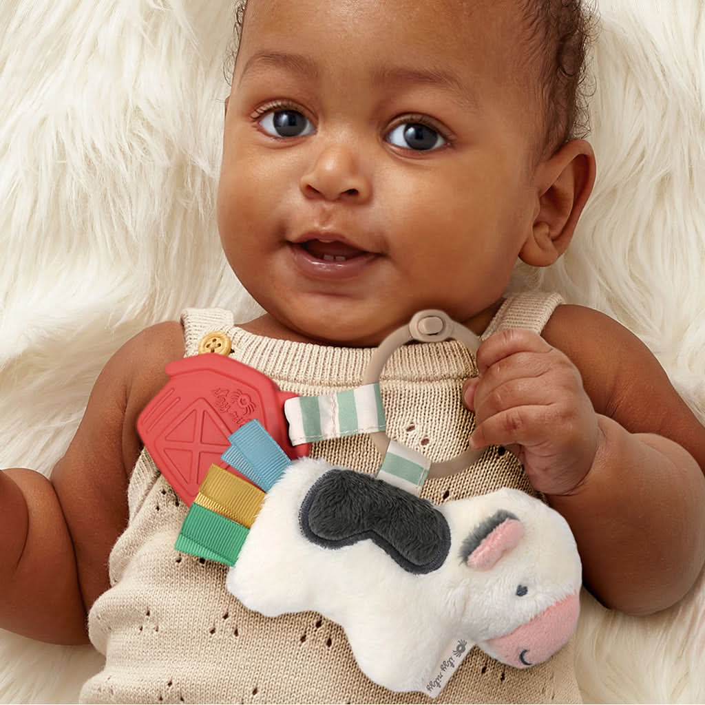Itzy PalTM Infant Toy - Image 10
