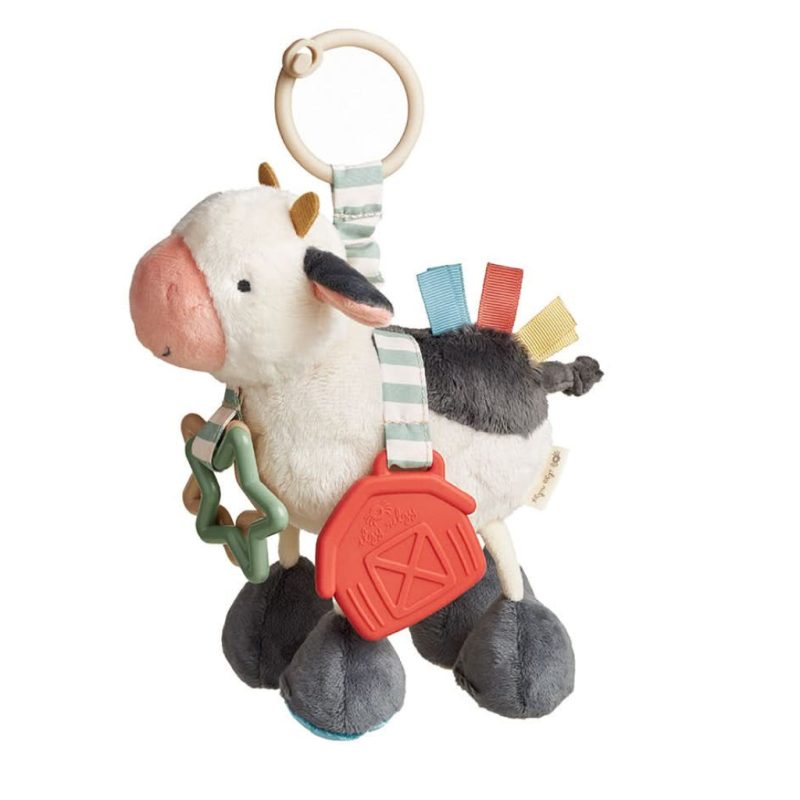 Link & LoveTM Teething Activity Toy