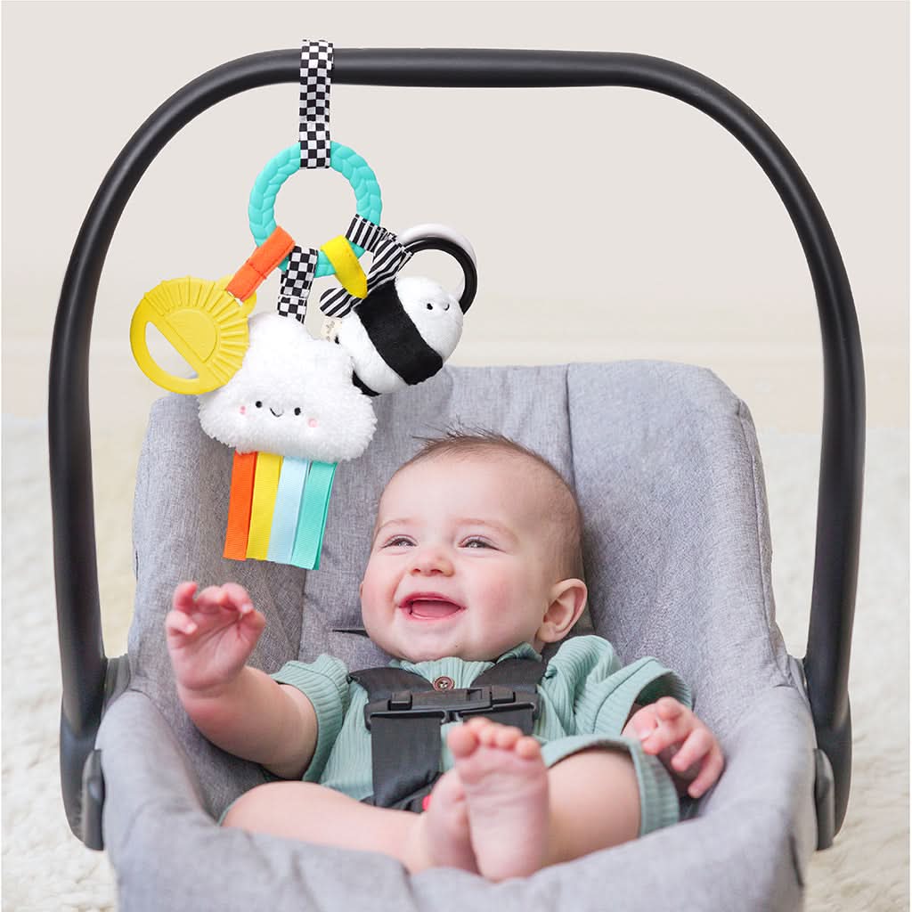 Bitzy Busy RingTM Teething Activity Toy - Image 21