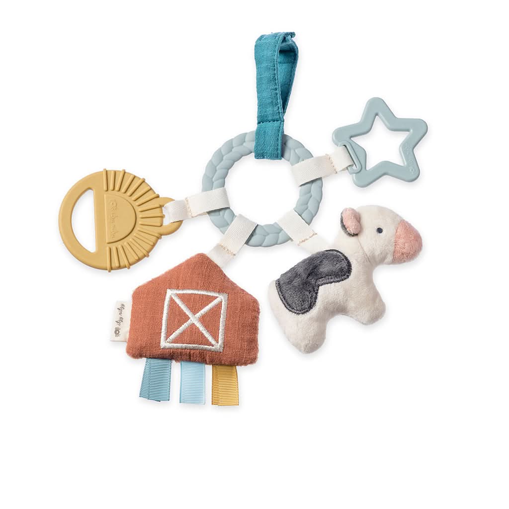 Bitzy Busy RingTM Teething Activity Toy - Image 24